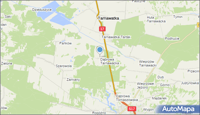 mapa Dąbrowa Tarnawacka, Dąbrowa Tarnawacka na mapie Targeo